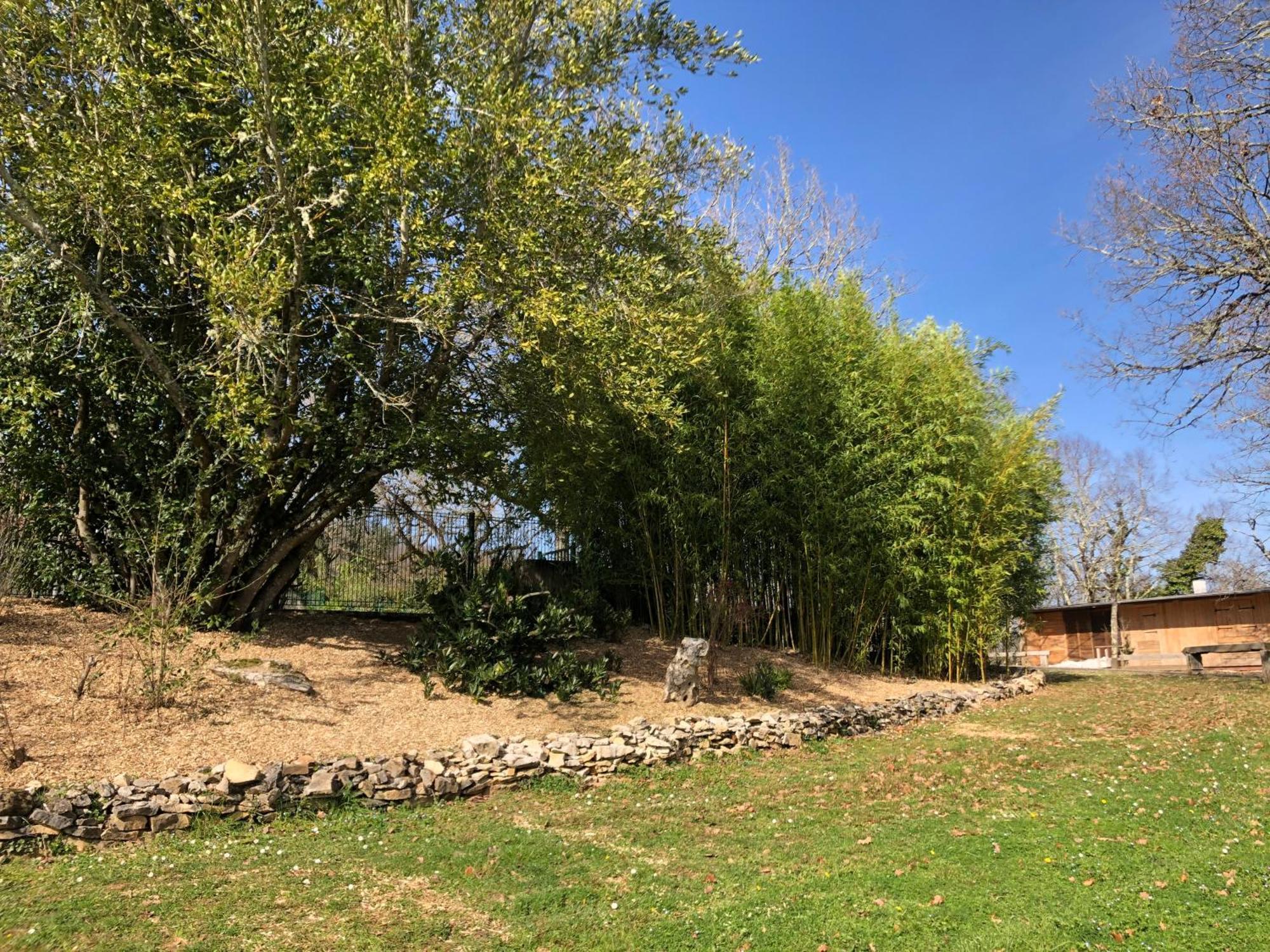 Chateau De Termes Martel Exterior photo